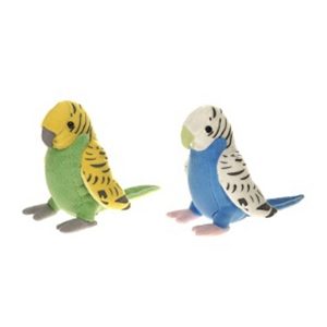 6" Parakeet Assortment