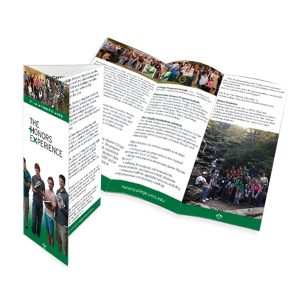 Tri-Folded Brochure on text stock