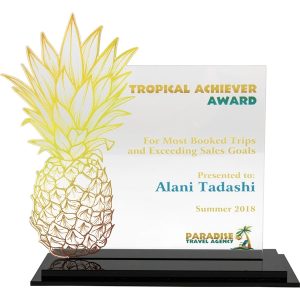 Clear Acrylic Award