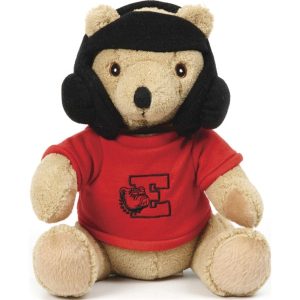 10" Wrestler Bear