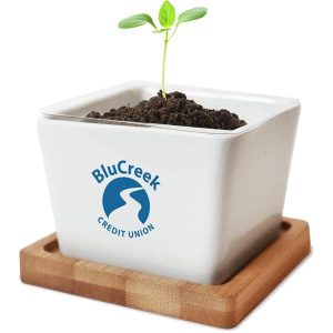 Ceramic Planter