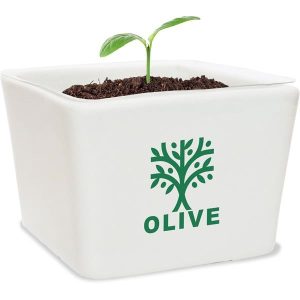 Ceramic Planter