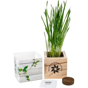 Wooden Cube Grow Kit