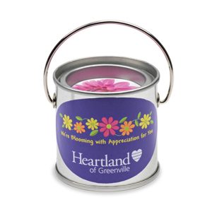 Paint Pail Planter Kit
