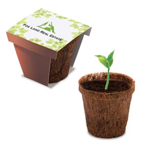 Coco Planter Kit