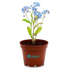 Terra Cotta Planter Kits
