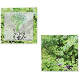 Say it with seeds envelope