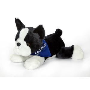 12" Grand Boston Terrier