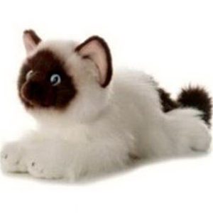 12" Bella Siamese Cat