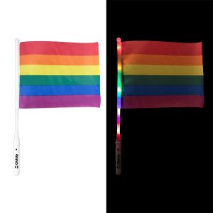 Pride LED Flag