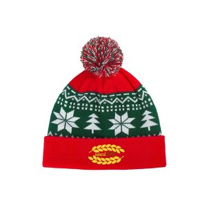 Winter Christmas Hat