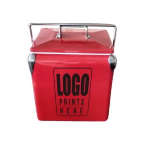13 Liters Cooler Vintage Metal Storage Freezer