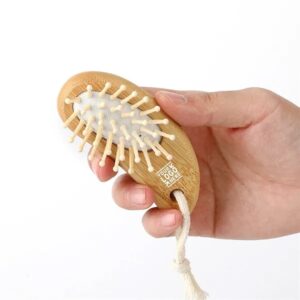 Small Size Travel Hair Brushes