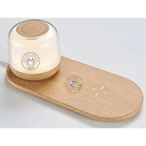 2 in 1 Bluetooth SpeakerandWireless Charger W/ Separate Magnet