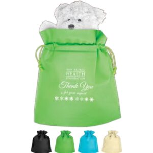 Poly Pro Cinch Gift Bag