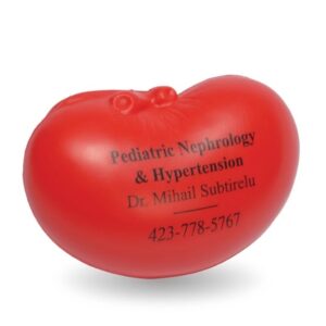 Kidney shaped stress reliever