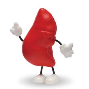 Liver man figure stress reliever
