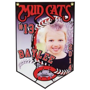 Vinyl Championship Banner