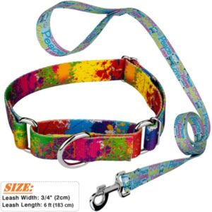 Dye-Sublimation Dog Leash with Adjustable Collar andamp; Carabiner
