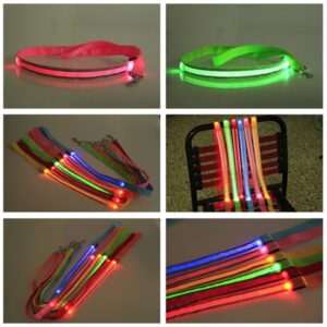 LED Dog Leash (One Sided)
