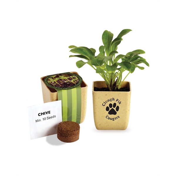 Flower Pot Set With Chive Seeds