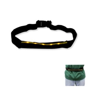 LED Waist Bag
