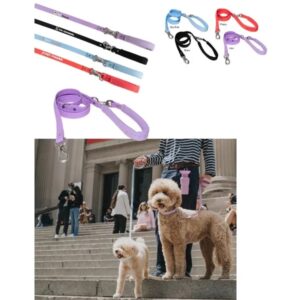 Springer Small Dog Leash