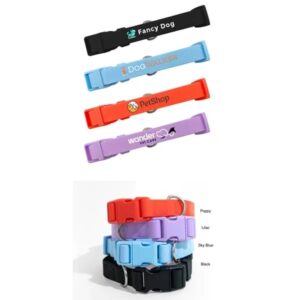Springer Extra Large Dog Collar