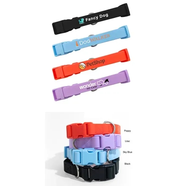 Springer Large Dog Collar