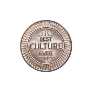 Zinc 1 1/2" Challenge Coin Nickel Plating