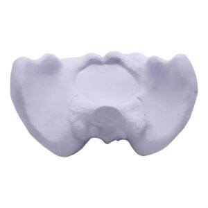Hip Bone Stress Reliever