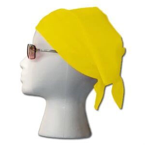 100% Cotton Bandana 22x22" (Hemmed)