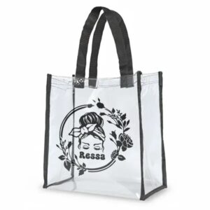 Clear Stadium Bags