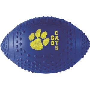 Vinyl Grip Football