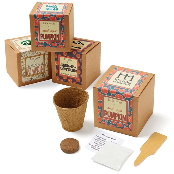 Small Sugar Pumpkin Seed Growable Planter in Kraft Gift Box