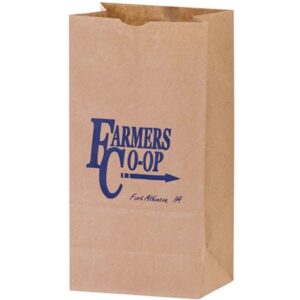 Natural Kraft Heavyweight Nail andamp; Coin Bag 12 lb - Flexo Ink